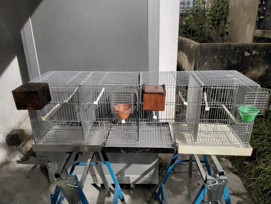 Várias gaiolas para pássaros