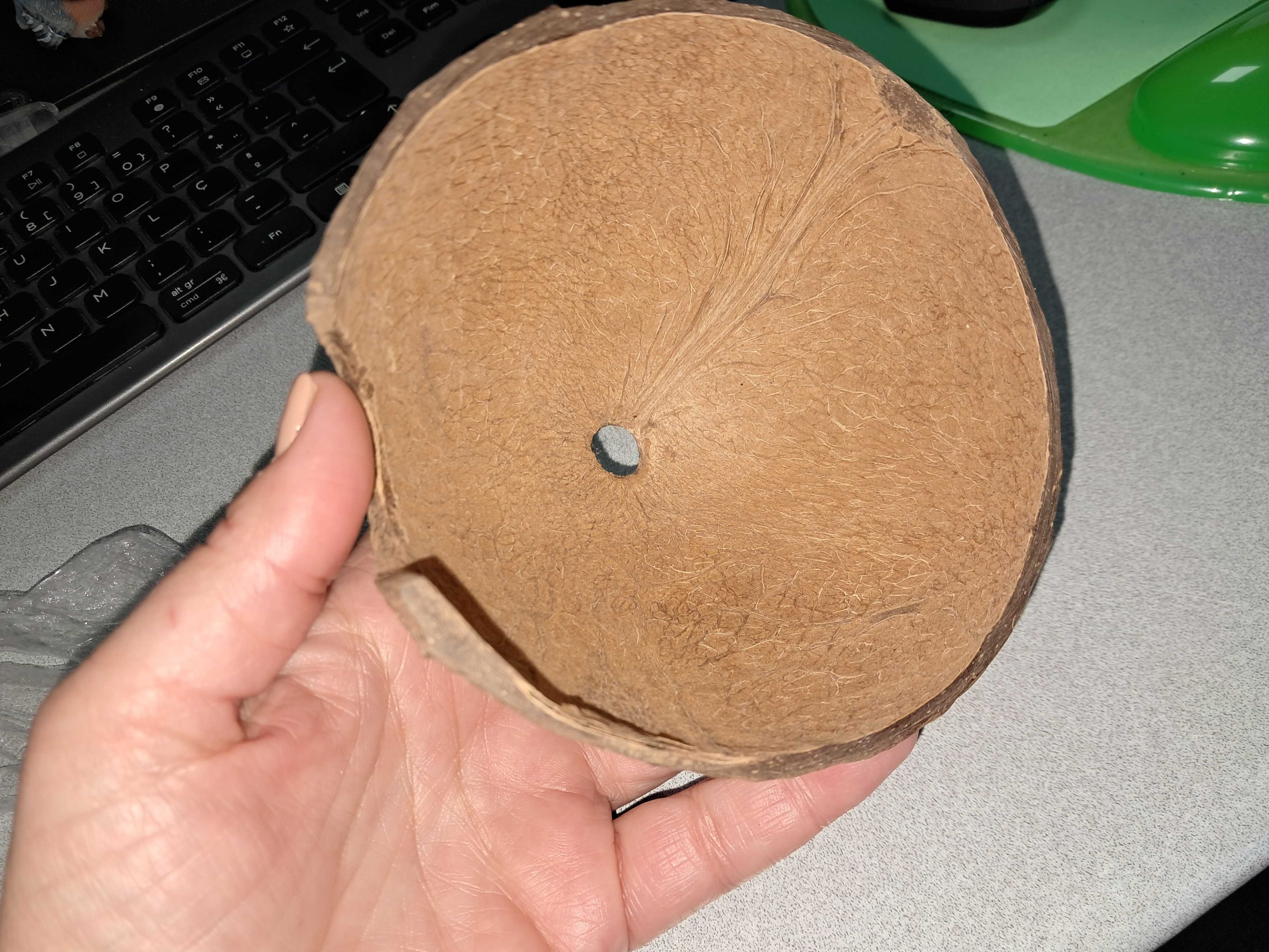 Coco para aquário