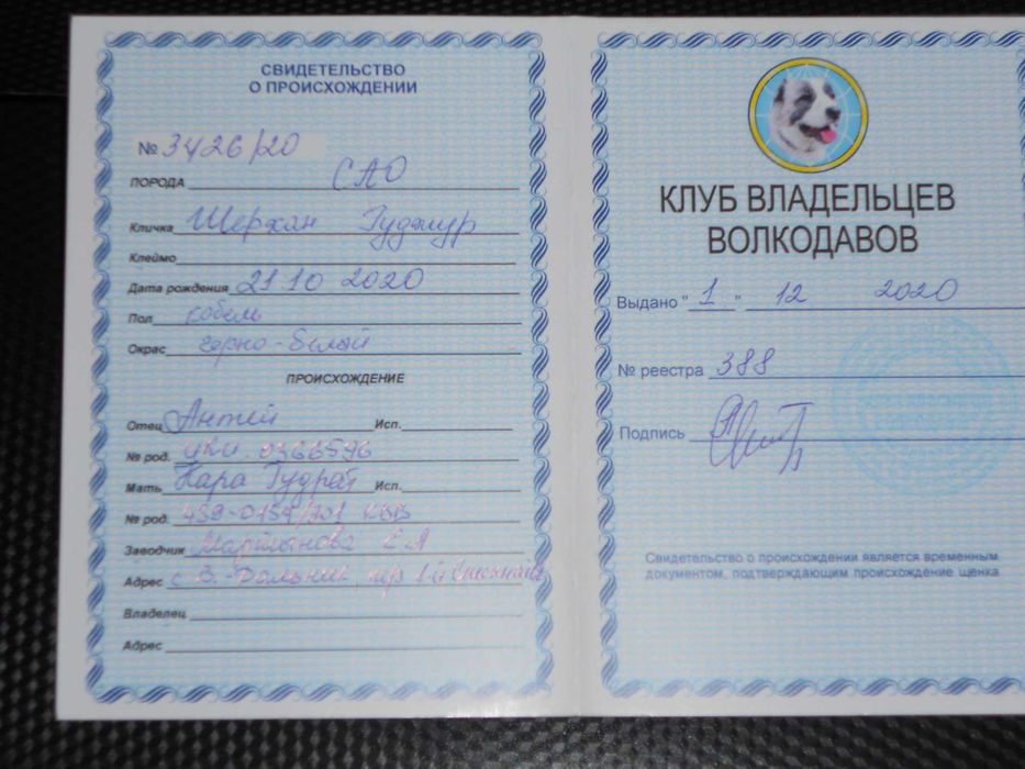 Вязка кабель алабай!