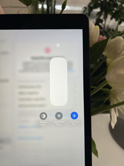 Apple iPad 8 32GB Silver