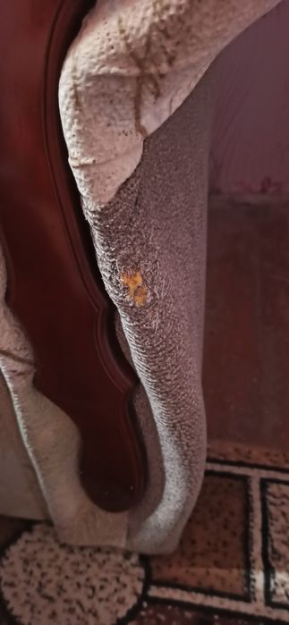 Диван угловой. Уголок мягкий. Кровать. Диван кутовий. Ліжко