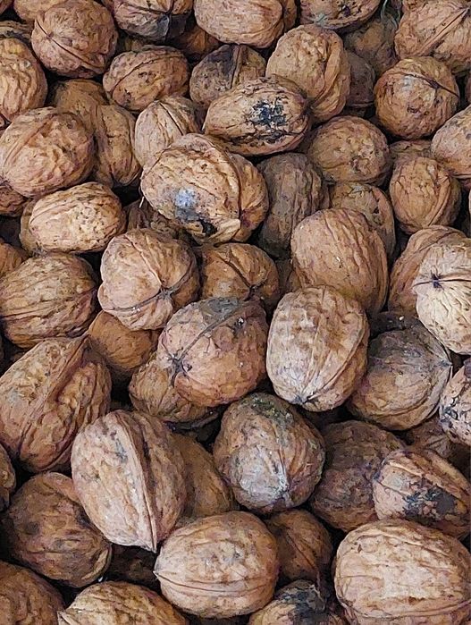 Nozes com casca _ 2,5€ / kg