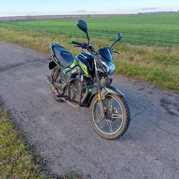 Mustang Region mt 250