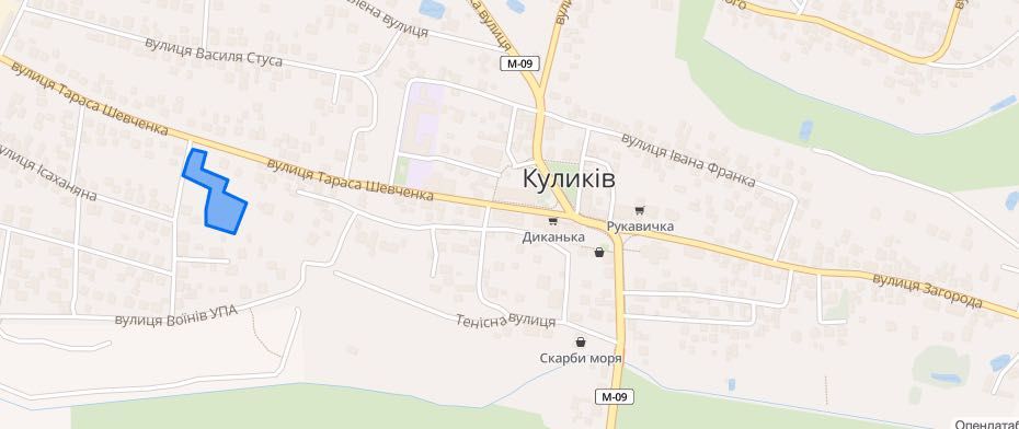 Продаж земельної ділянки Куликів під Будівництво.