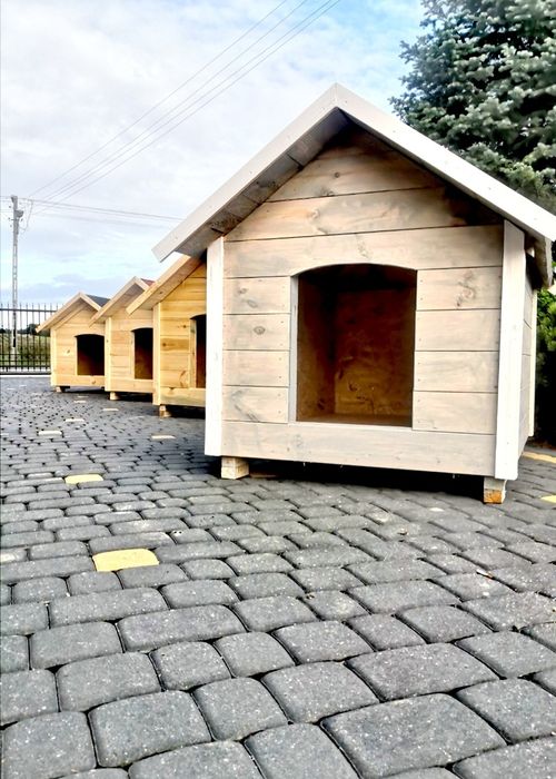 Buda dla psa budy nowe heblowane Producent buda nowa solidna porządna