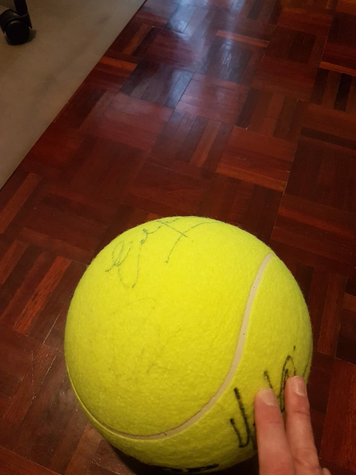 Bola de teenis  tenis dunlop tamanho grande