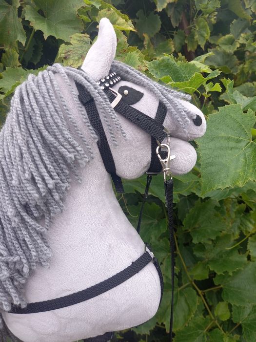 Hobby horse rozm. A4