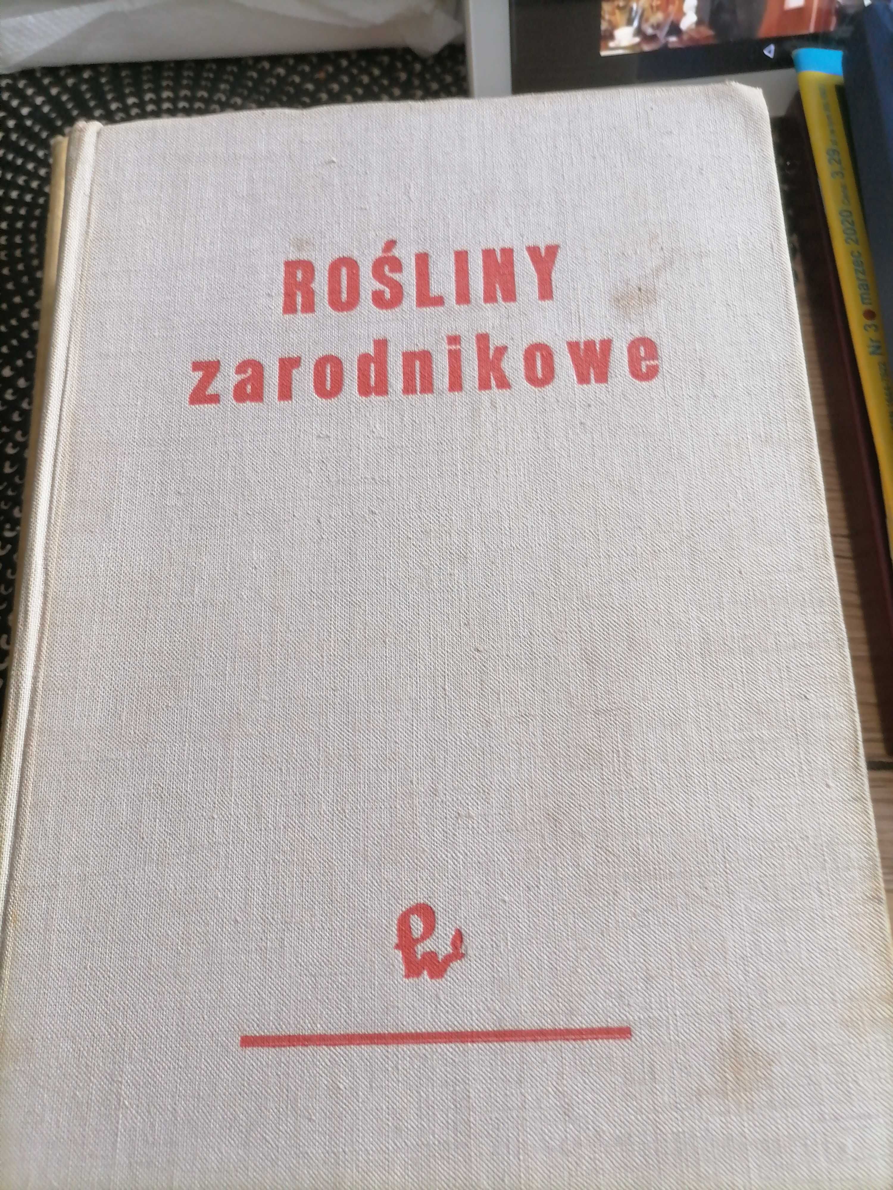 Rośliny zarodnikowe-Podbielkowski