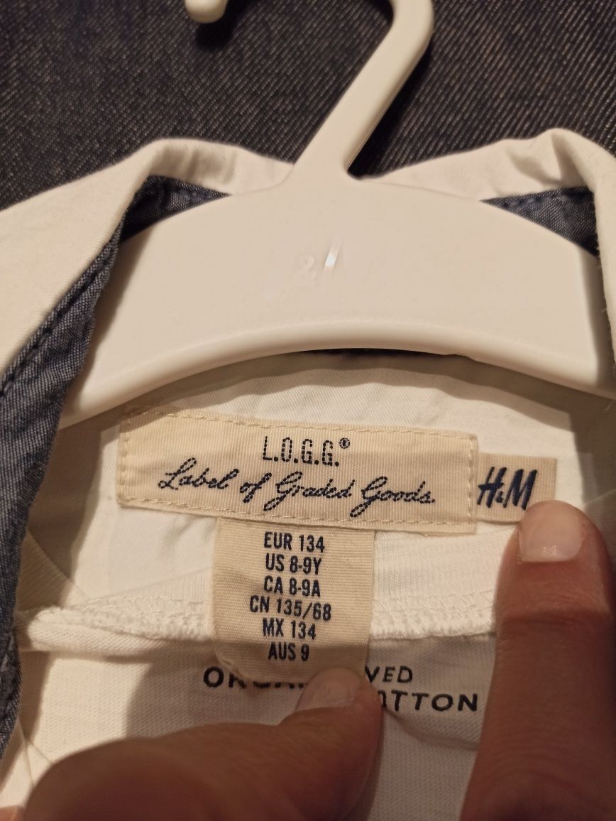 Biała Koszula chłopięca 134 h&m dinozaury