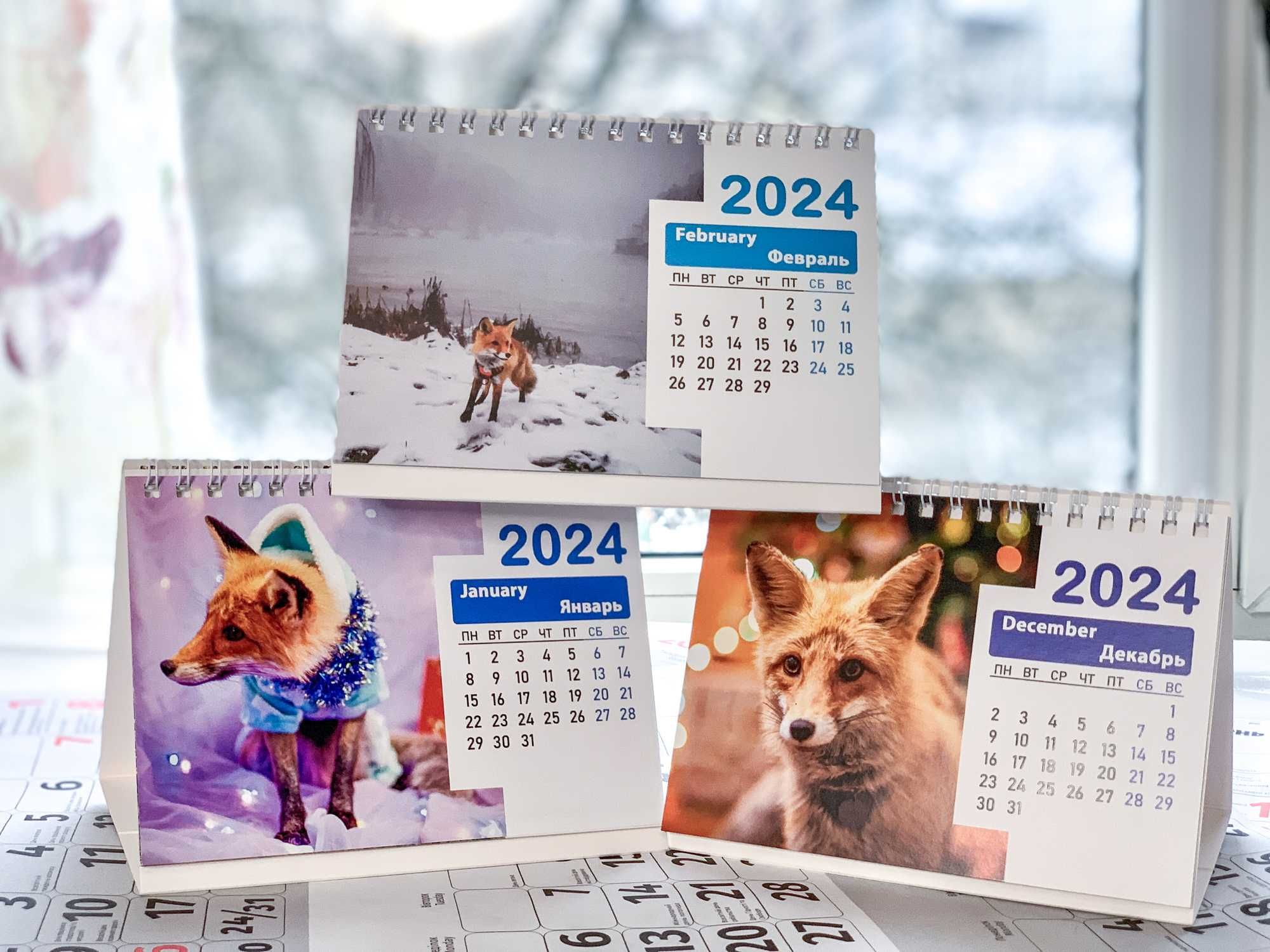 настольный календарь с лисой 2024, лисичка, лиса, лисы, лисица Никси