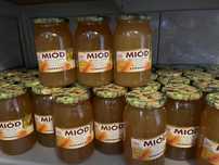Miód rzepakowy 10+1 gratis sezon 2024