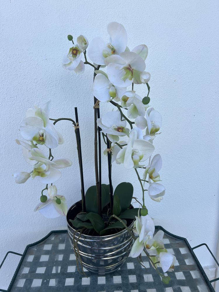 Orquidea altificial