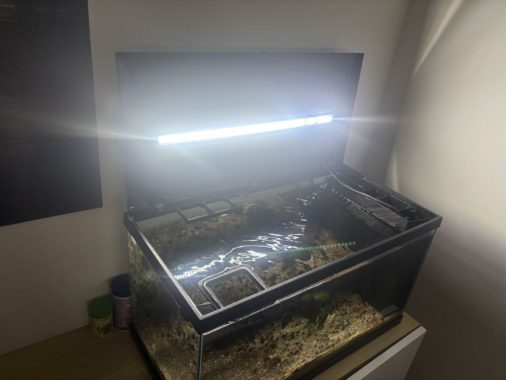 Aquário LED com filtro e iluminação - Ciano com peixes