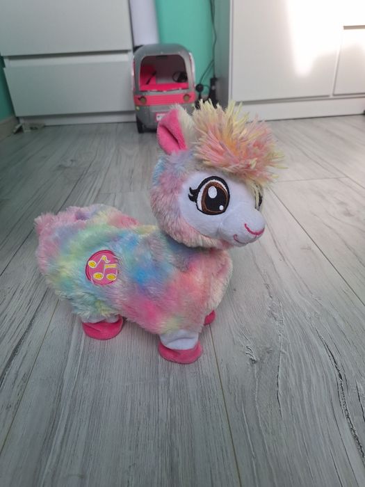 Tańczącą lama w idealnym stanie