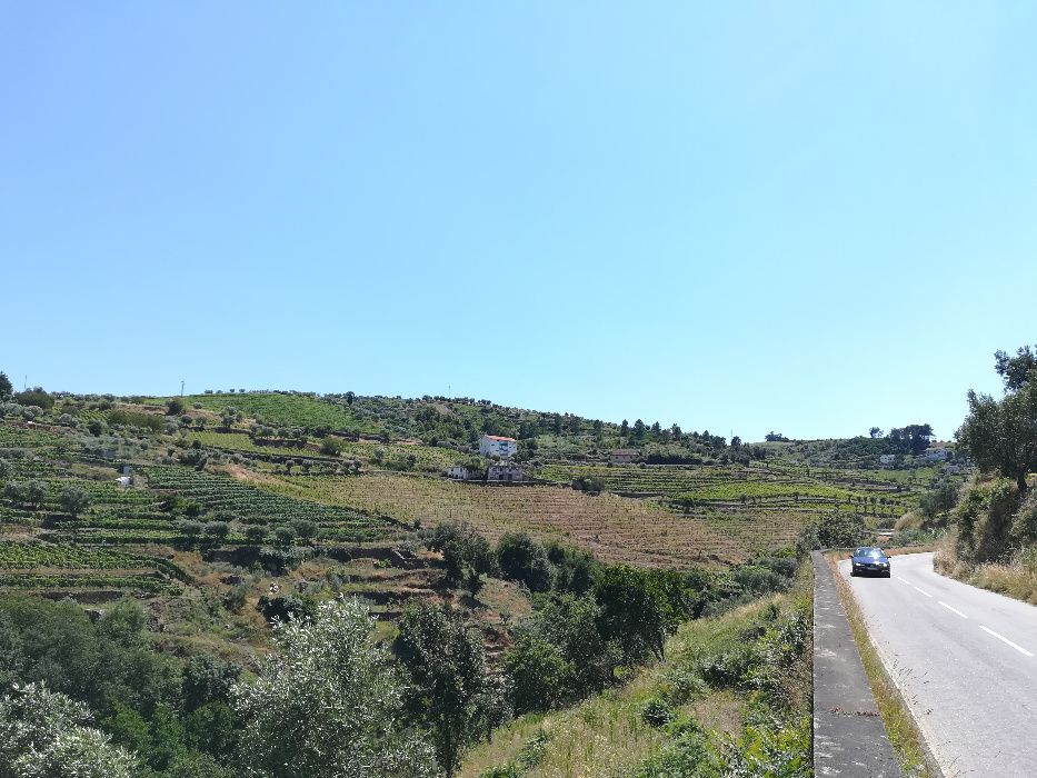 Quinta Régua / Lamego - Confronta com Rio (Ribeira do Neto)