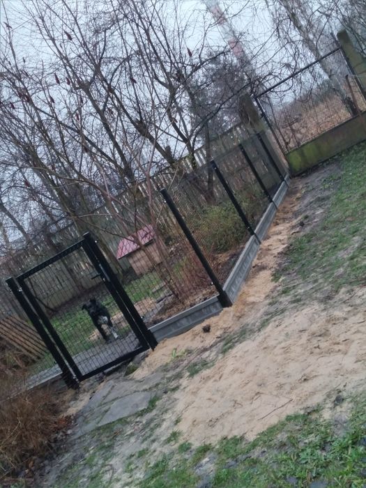 Ogrodzenia panelowe, płoty panelowe, bramy i furtki na wymiar