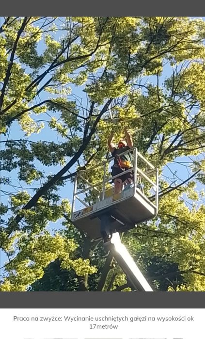 Koszenie trawy, Wycinka drzew