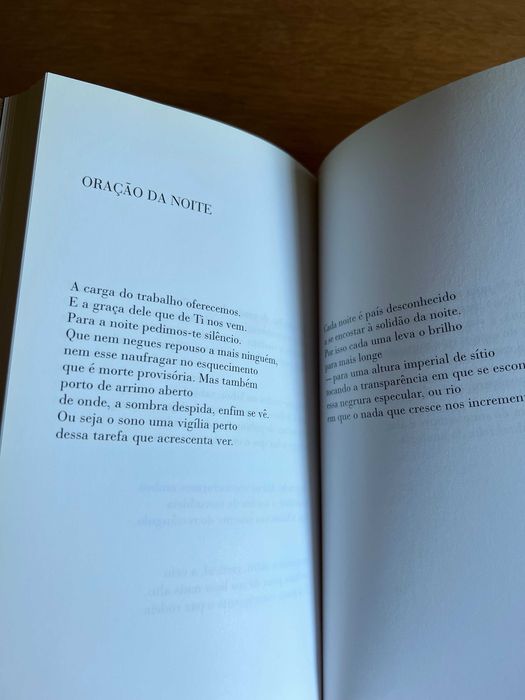 GEÓRGICAS      Fernando Echevarría