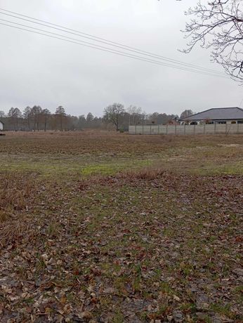 Działka rolno budowlana  w Zaroślu Cienkim obok Torunia