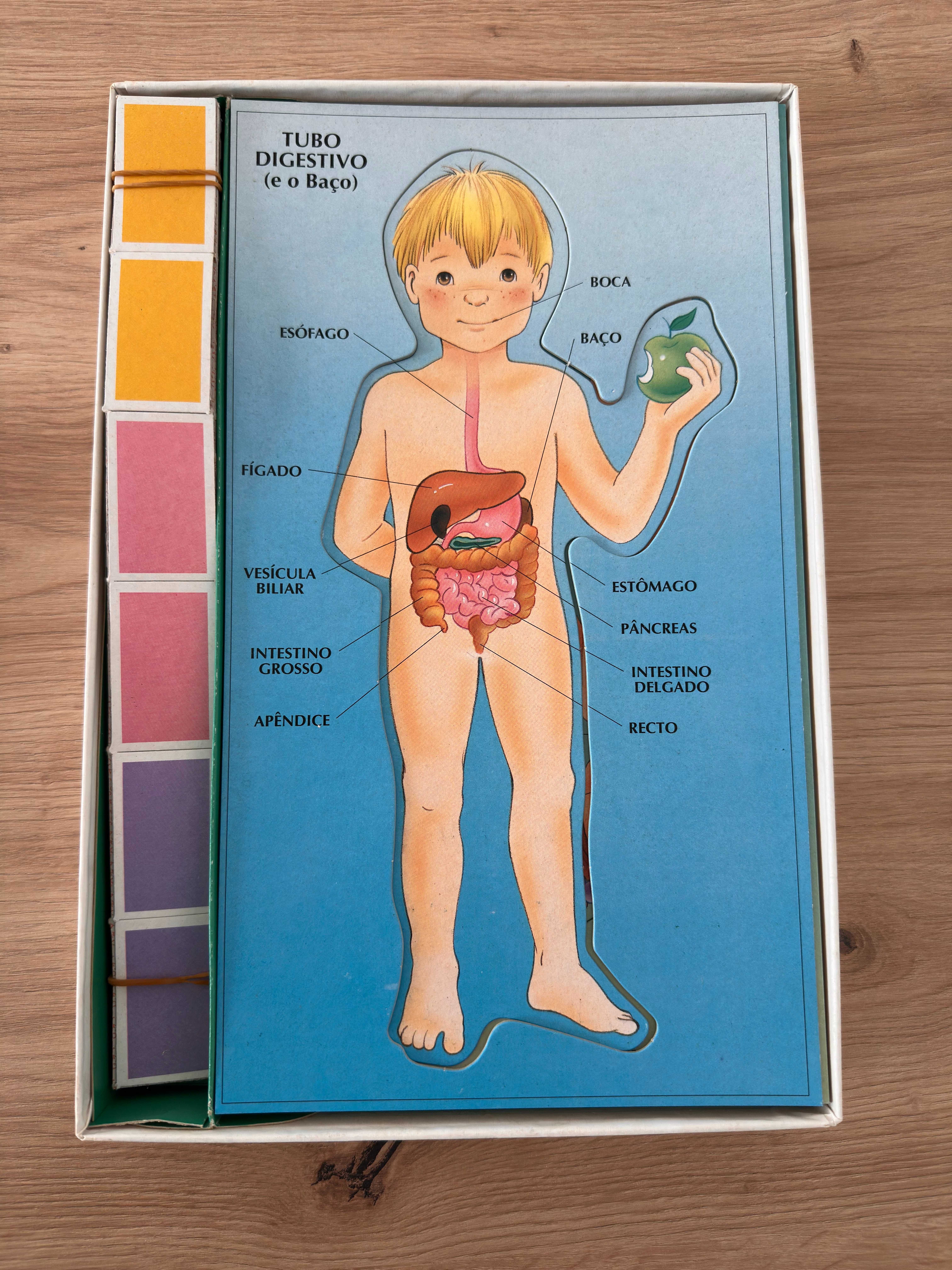 Majora - Jogo Anatomia