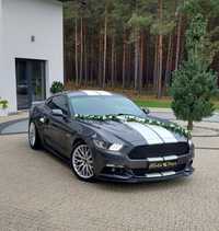 Auto do Ślubu Ford MUSTANG GT 5.0 V8 wynajem samochodu na wesele