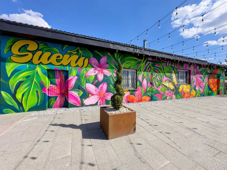 Murale artystyczne/ Malowanie ścian na zamówienie – Wrocław i okolice