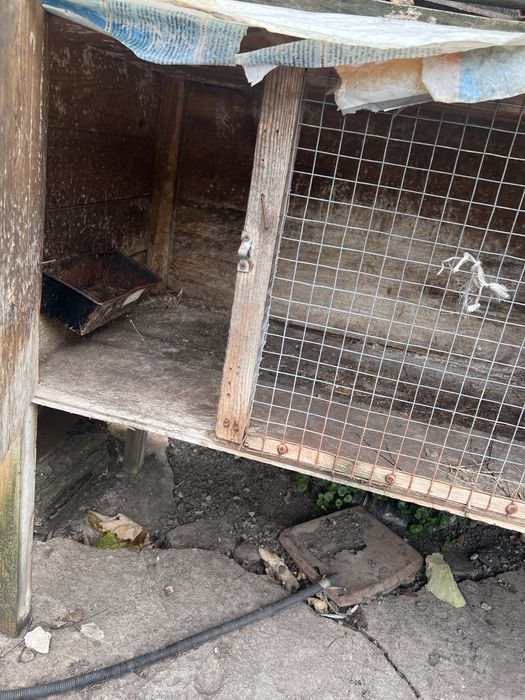 Клітки для кролів