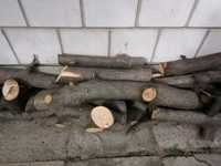 Drewno - gałęzie grube i cienkie