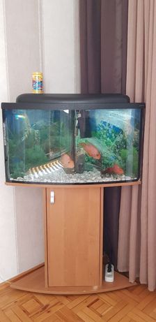 Объявление
Продам аквариум на 85 литров (45×57×82) с тумбой.