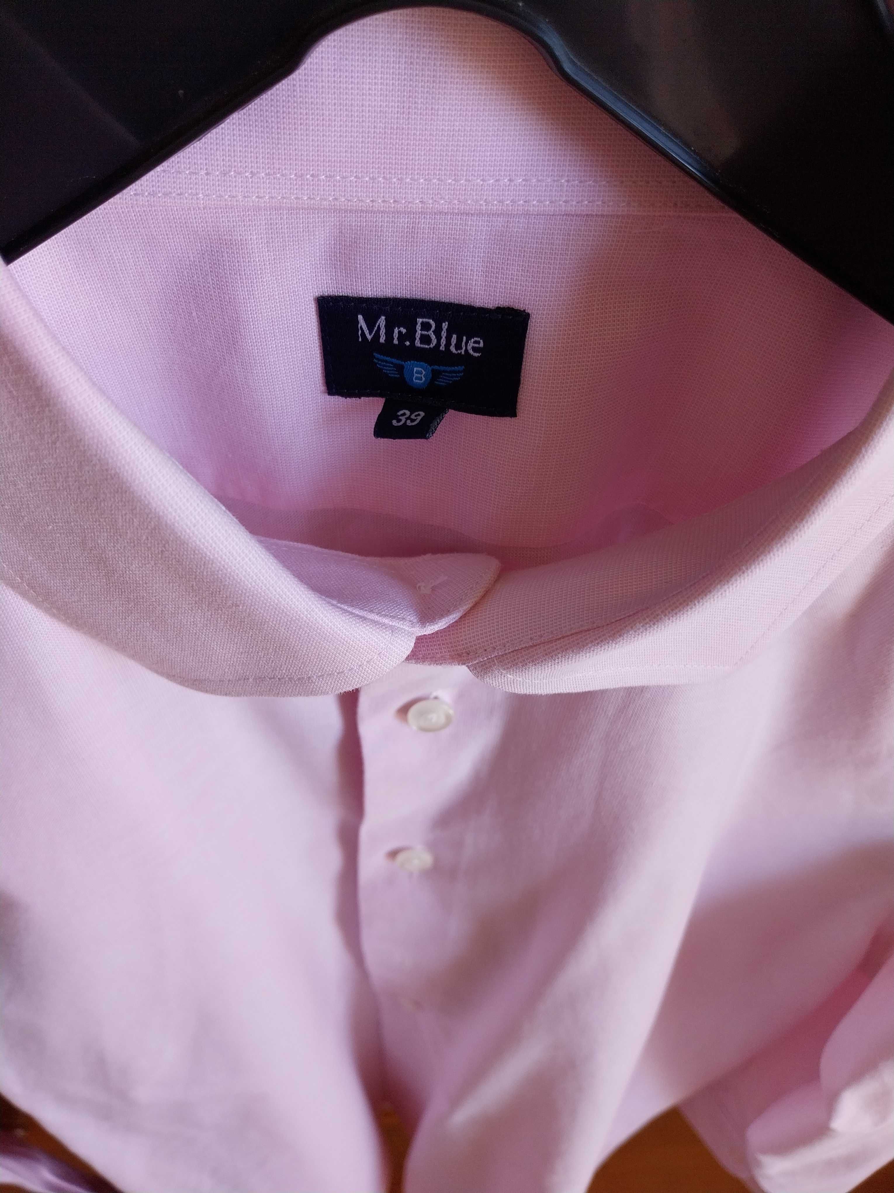 Camisa clássica de homem, tamanho L , marca Mr Blue