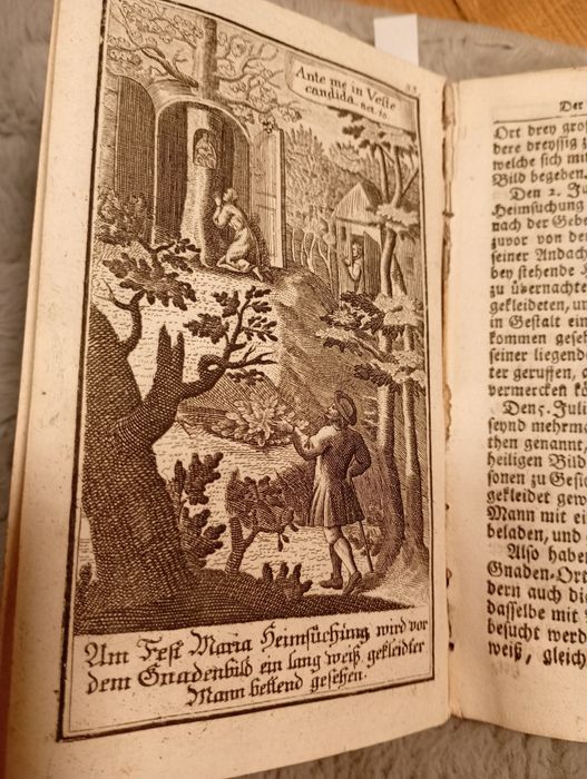 Starodruk 1748 Austriacka Góra Miry - Sanktuarium Maria

Laferl - Mary