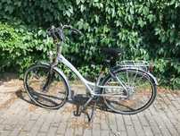 rower Batavus holenderski