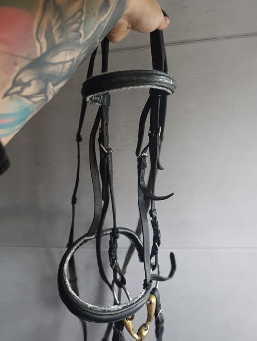 Kompletne ogłowie cob/full