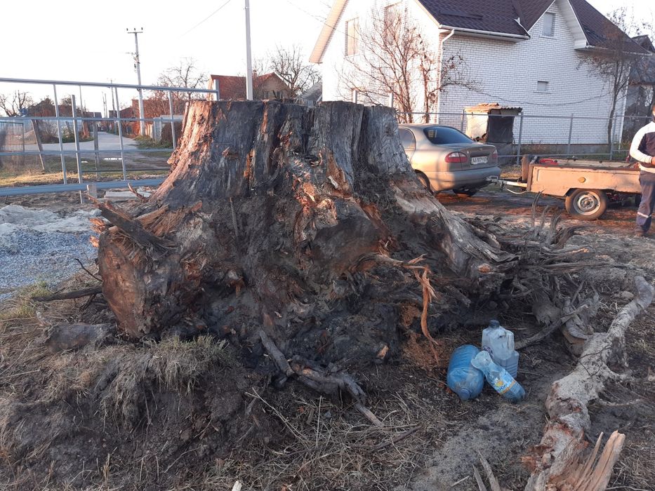 Спил удаление деревьев измельчитель веток уборка участков вывоз мусора