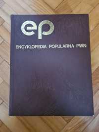 Encyklopedia popularna PWN 1982