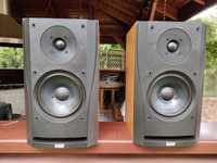 Bowers & Wilkins B&W DM 302