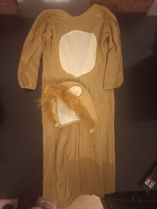 Fato de carnaval de Leão