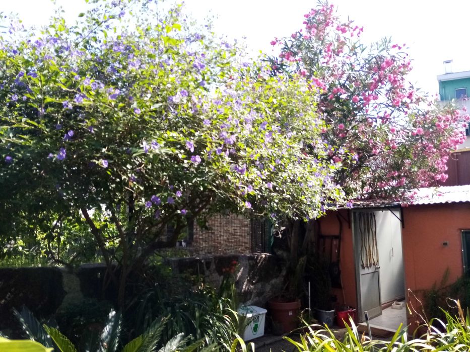 Casa Musica- Para partilhar/ Apartamento T1 equipado e mobilado