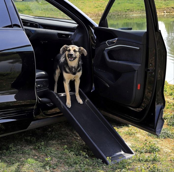 Rampa samochodowa dla psów do 90 kg Lionto