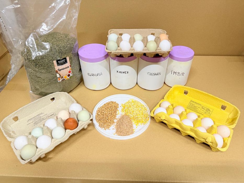 Sprzedam Jajka jaja swojskie wiejskie z wolnego wybiegu