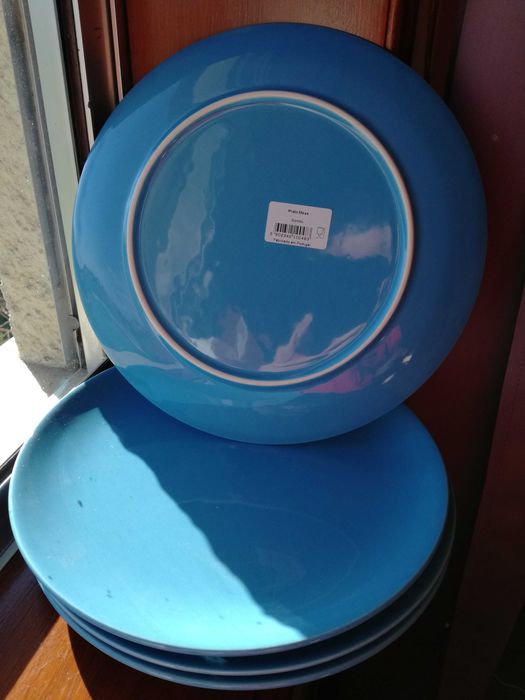 Pratos grandes (NOVOS)