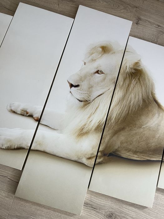 Obraz na ścianę w częściach 100 x 155 cm