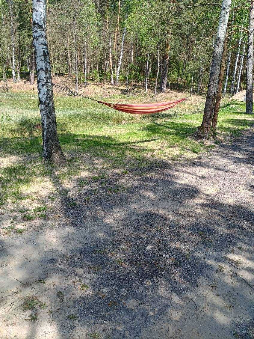 Wynajem domku letniskowego, całorocznego