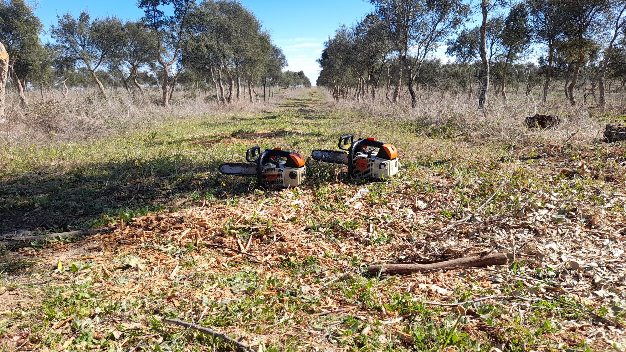 Limpeza de Terrenos e manutenção de jardins