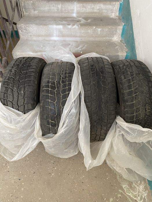 Автошина TOYO, зима, 185/60/14