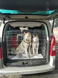 Перевозка, доставка домашних животных. Перевезення тварин