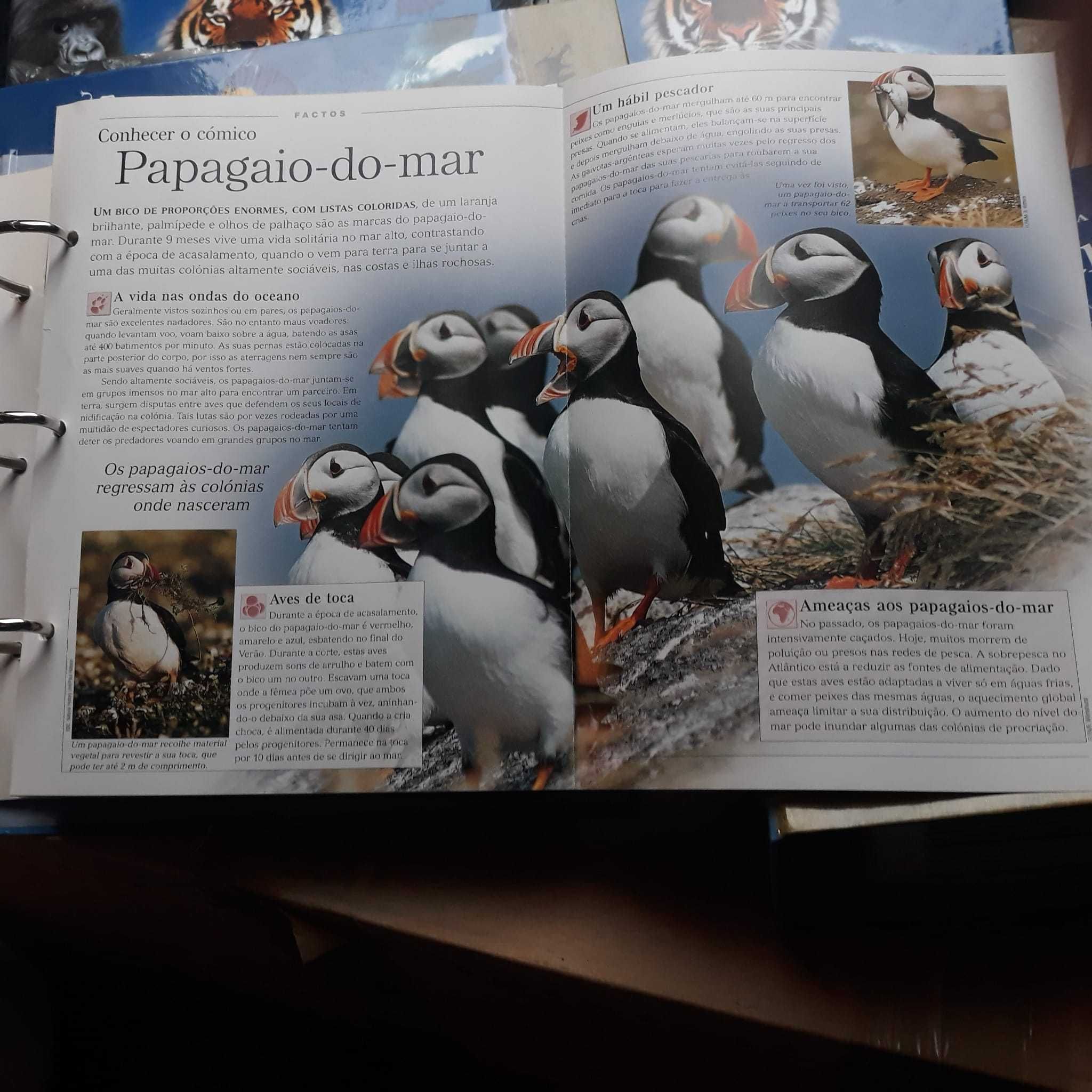 O Fascinante Mundo Animal