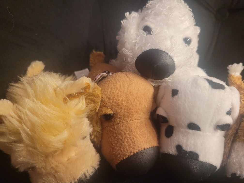 7 piesków the dog pieski jamnik dalmatyńczyk zestaw