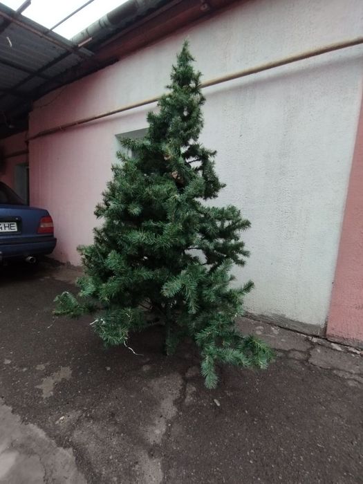 Продам штучну ялинку.
Висота 180 см.
Ніжки десь загубилися.