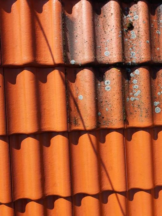 Czyszczenie dachów,mycie elewacji, czyszczenie elewacji, podjazdów